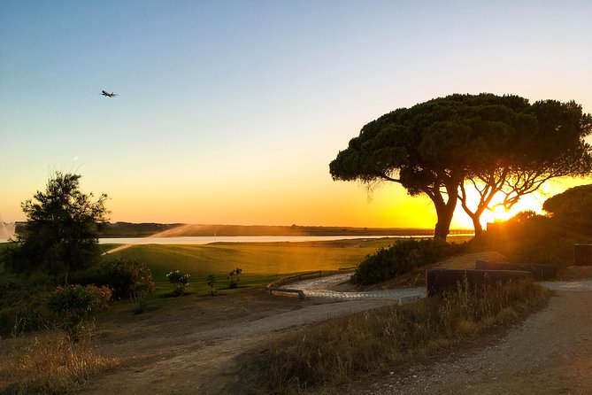 Ria Formosa Natural Park Birdwatching Segway Tour from Faro - Timing, heat, and practical details