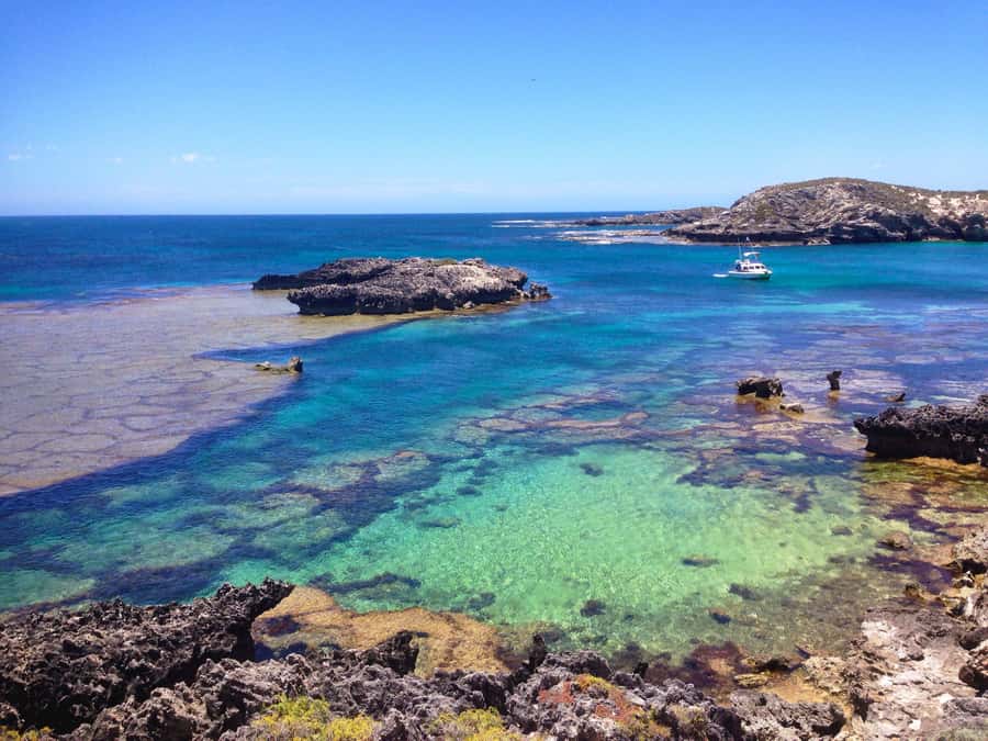 Rottnest Island Segway 1-Hour Settlement Tour - Bickley Bay and the island’s open views