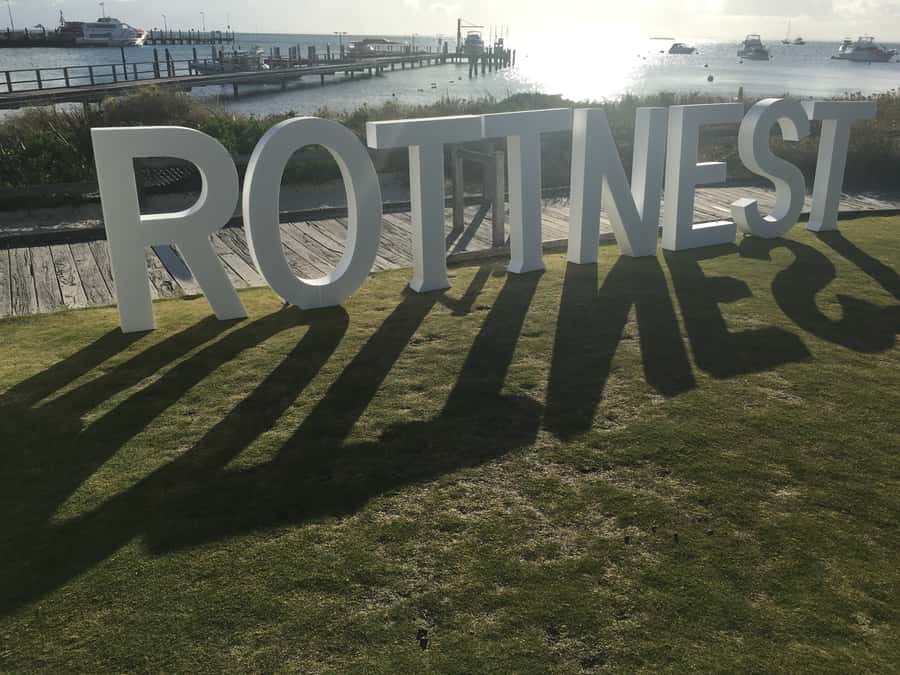 Rottnest Island Segway 1-Hour Settlement Tour - Is $69 good value?