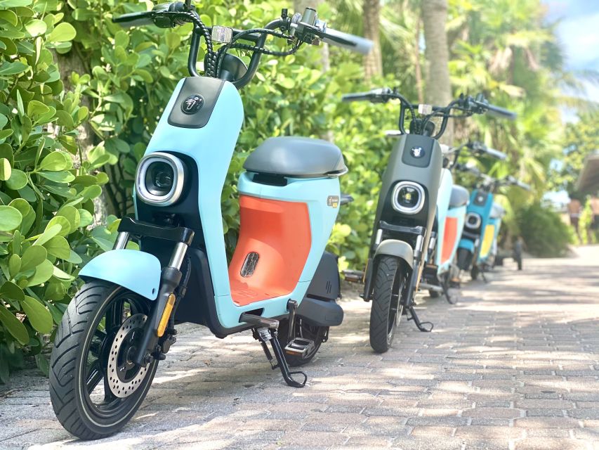 Segway Electric Moped Tour - Fun Activity Downtown Naples - Palm Cottage and a glimpse of old Naples