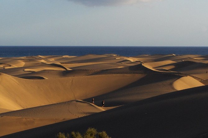 Segway Experience 1 hour Sightseeing Tour : Visit Maspalomas Dunes, Playa Ingles - A 20-minute pause in Playa del Ingles