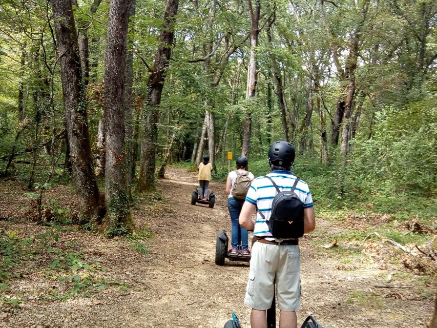 Segway hike 2h00 Aix les Bains between lake and forest - Should you book the Aix-les-Bains Segway hike?