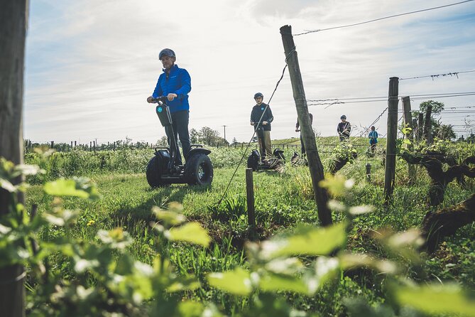 Segway ride between Lac Bleu and the castles of Pessac-Léognan - The route through vineyards and country lanes