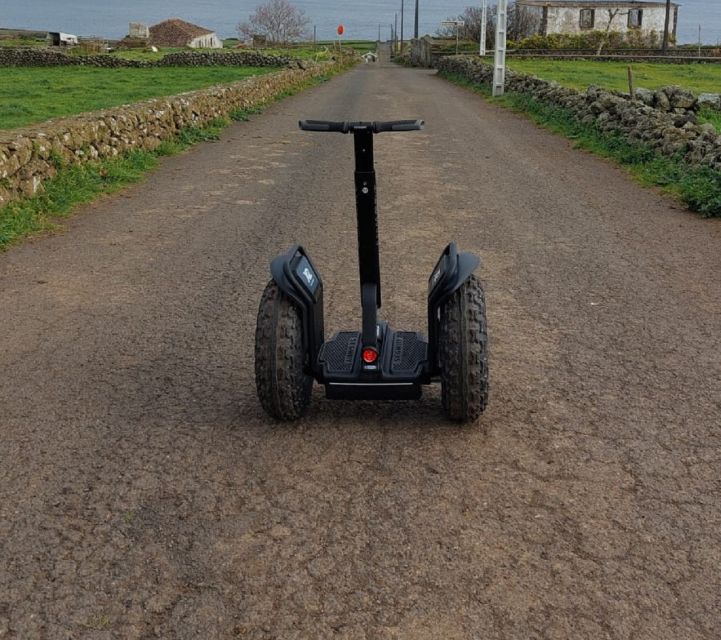Segway Tour Praia da Vitoria | Terceira Island - Seeing the fishing area at working level