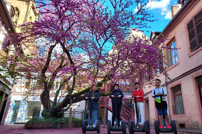 Segway Tours 2h in Colmar - Who will enjoy this Colmar Segway tour