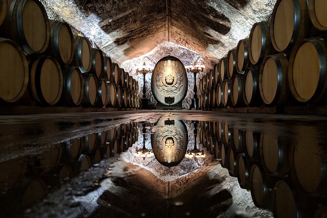 Sonoma County Wine Segway Tour - Guides who shape the day