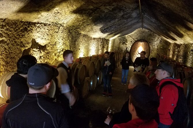 Sonoma County Wine Segway Tour - Practical details for a smoother ride