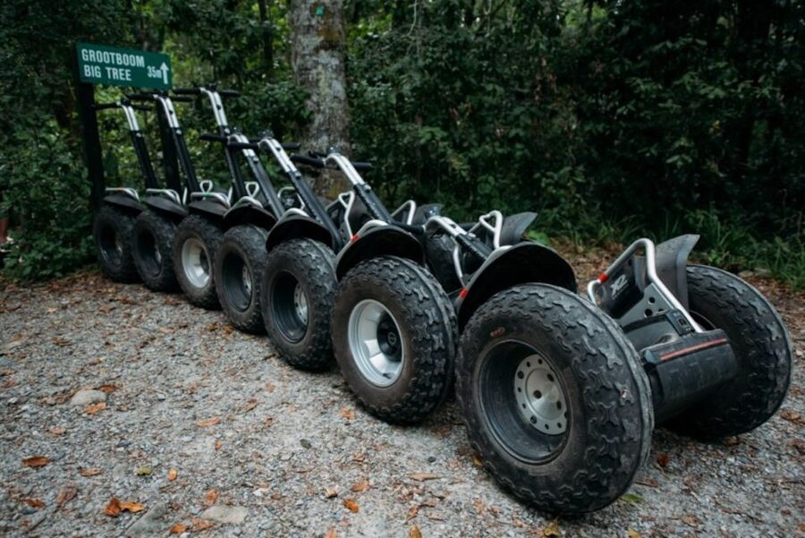 Tsitsikamma National Park: 1 or 2-Hour Segway Tour - Why a Segway suits Tsitsikamma