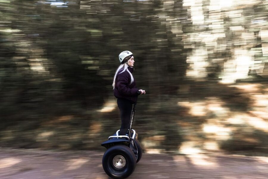 Tsitsikamma National Park: 1 or 2-Hour Segway Tour - The two-hour route to the Tsitsikamma Big Tree