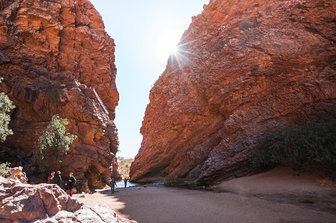 Uluru By Segway - Self Drive your Car to Uluru - Who should book this ride?
