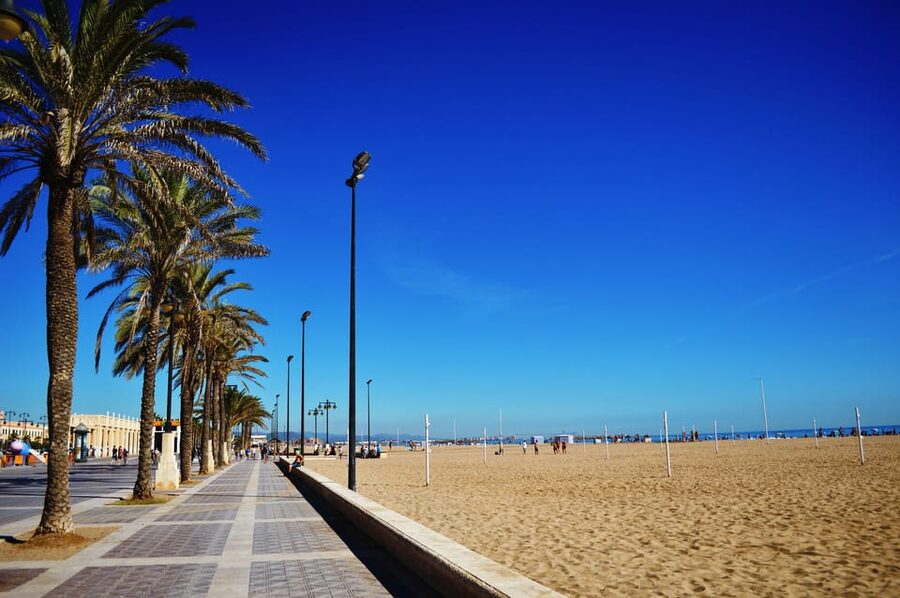 Valencia: Fantastic Segway Tour from the Center to the Beach - Who will enjoy this ride most