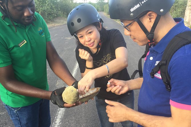 Victoria Falls Segway Tour - Practical planning for a better outing