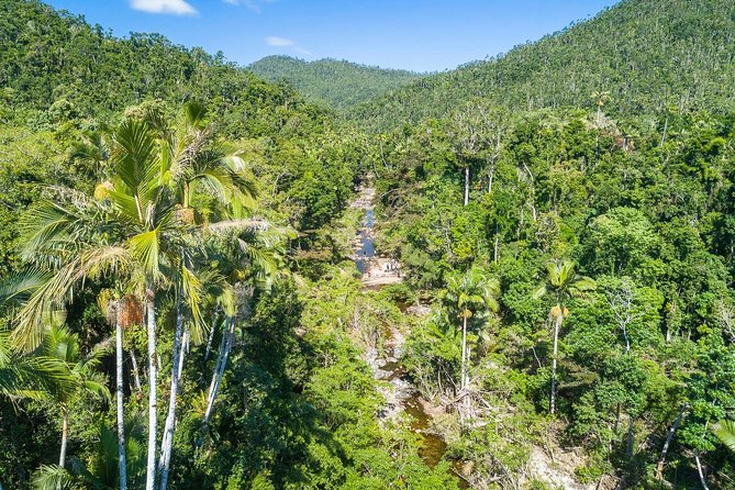 Whitsunday Segway Rainforest Discovery Tour - Key details at a glance