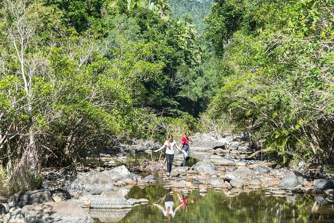 Whitsunday Segway Rainforest Discovery Tour - Impulse Creek and the morning tea stop