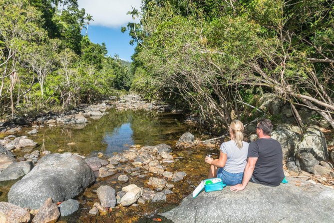 Whitsunday Segway Rainforest Discovery Tour - What can be less comfortable