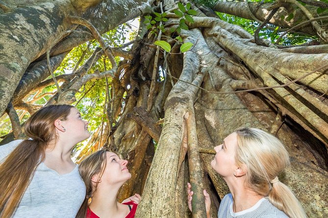 Whitsunday Segway Rainforest Discovery Tour - Hotel pickup makes the morning simple